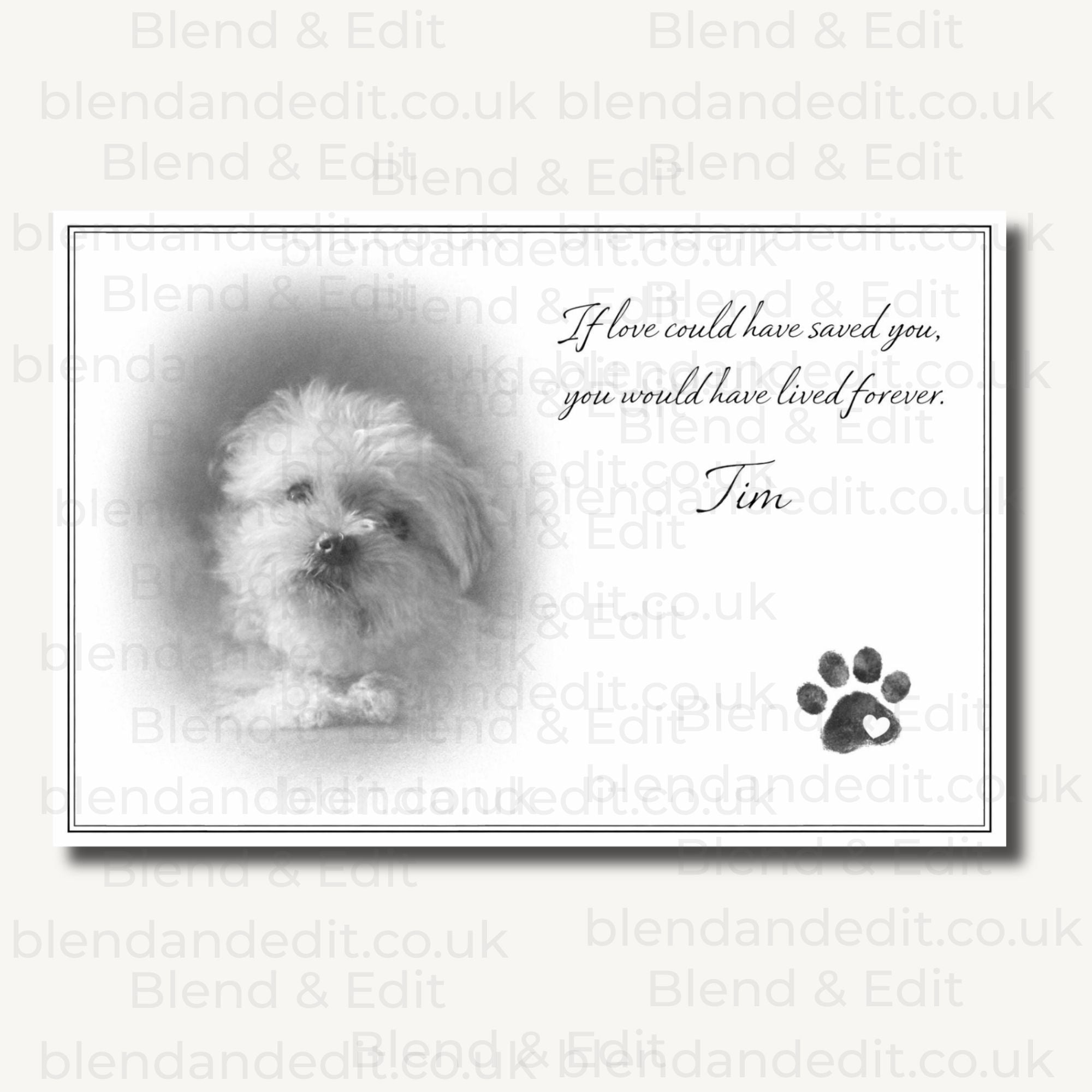 Customised Pet Portrait, Personalised Pet Memorial Print, Luxury Pet Artwork